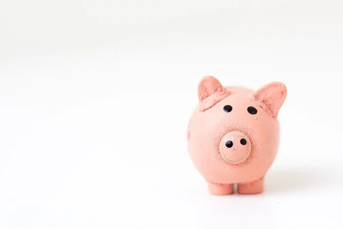 Piggy bank image - Base your digital marketing budget on your income.