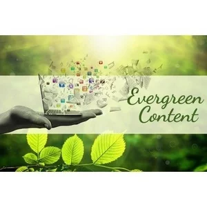 Crie artigos Evergreen para o seu blog que durem - edição de 2019